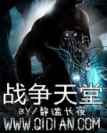 电影战争天堂讲的什么